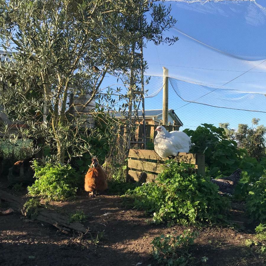 Apartamento Langleys Port Campbell Hobby Farm Exterior foto