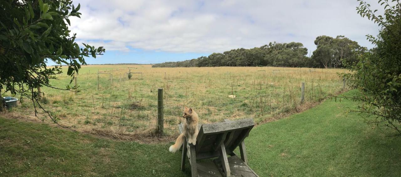 Apartamento Langleys Port Campbell Hobby Farm Exterior foto